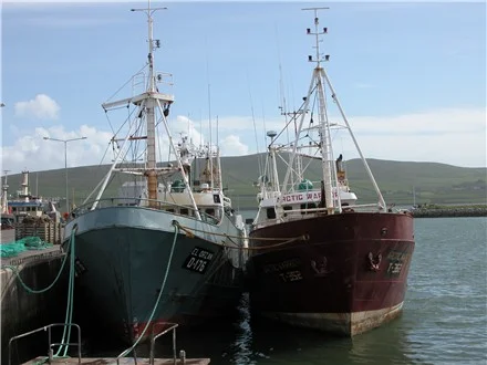 dingle_fleet_440.JPG