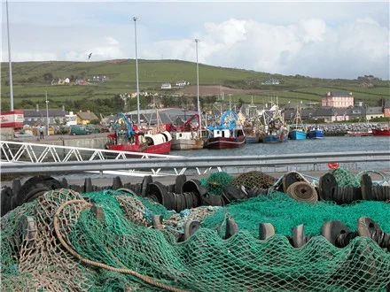 dingle_fleet_nets_440.JPG