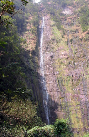 waimokufalls_full_440.jpg