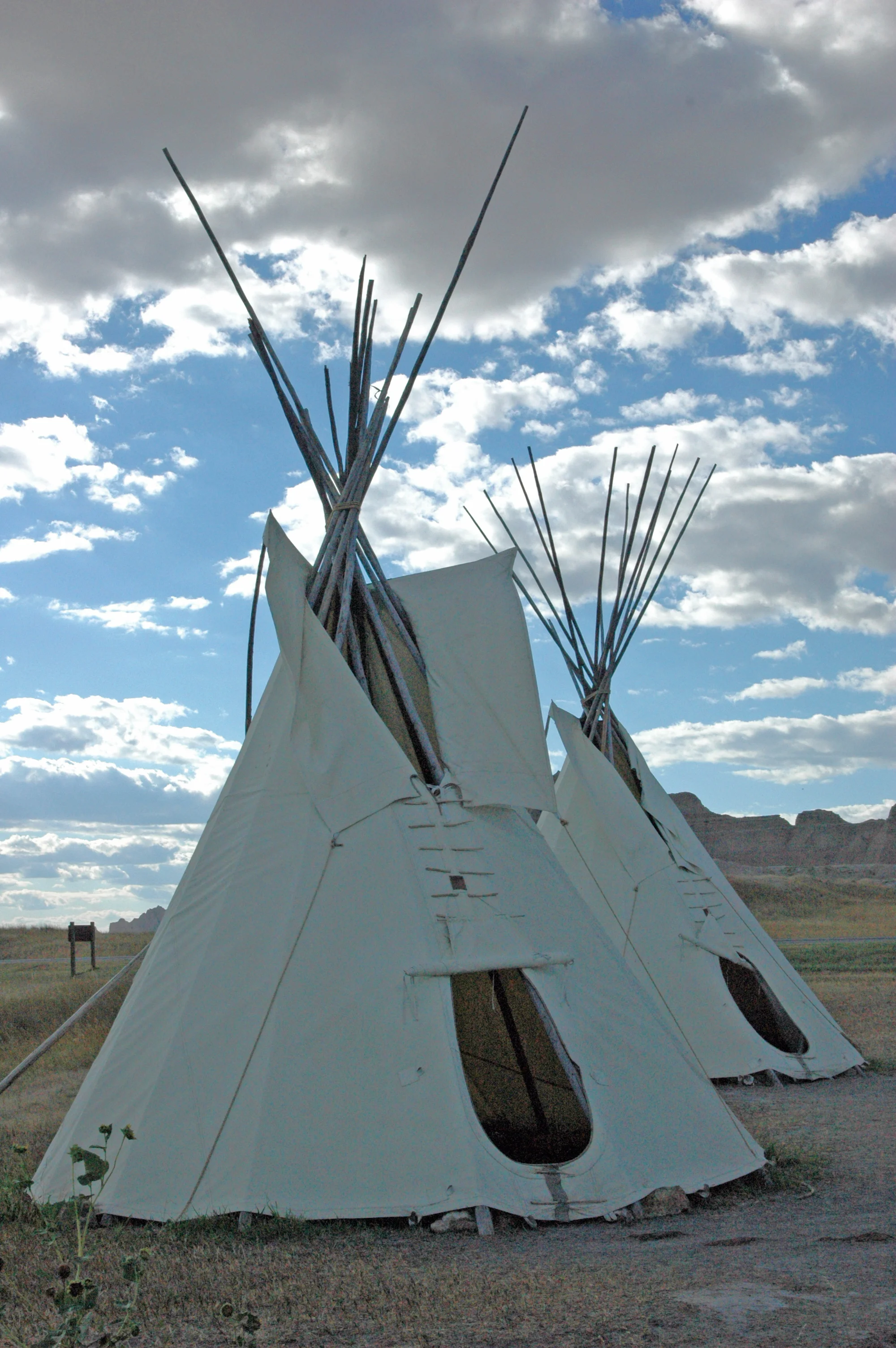 Tipi