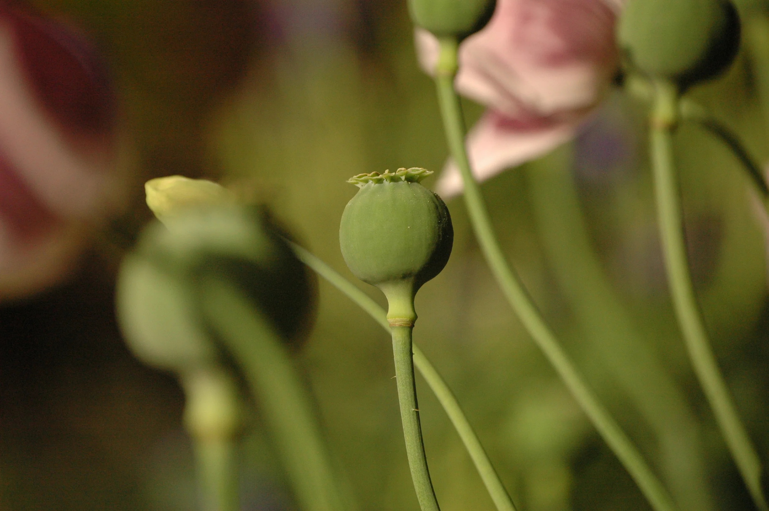 One of my fav photos