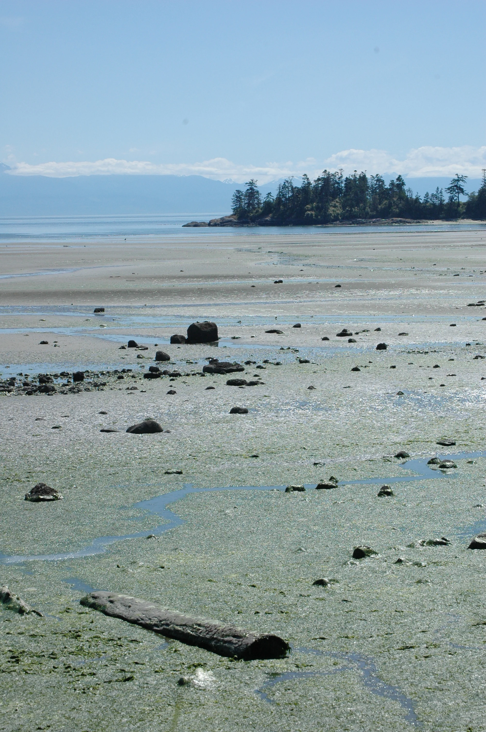 Low Tide