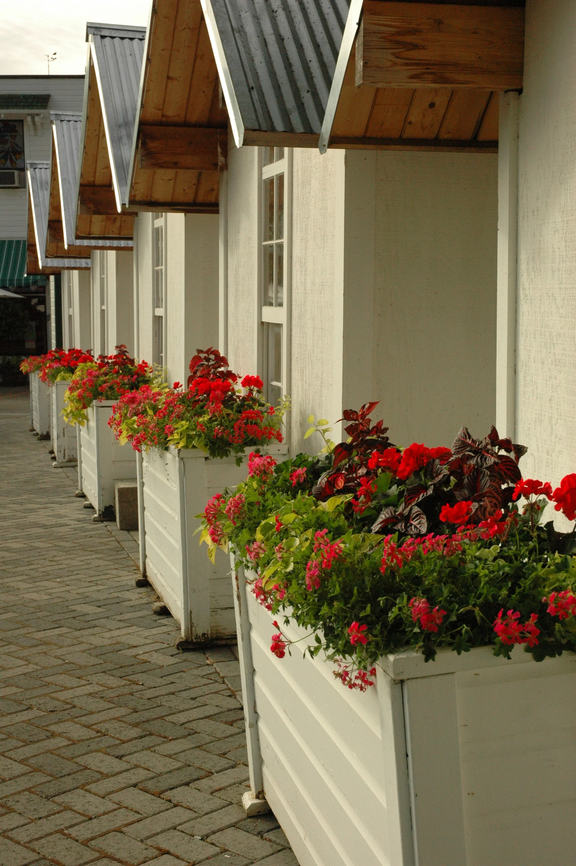 Pretty SalesCabins