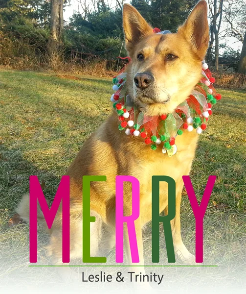 2014_TrinityXmasCard