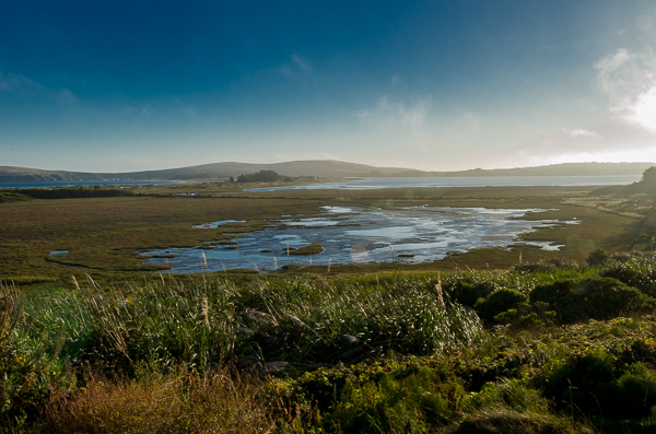 Bodega Bay, CA