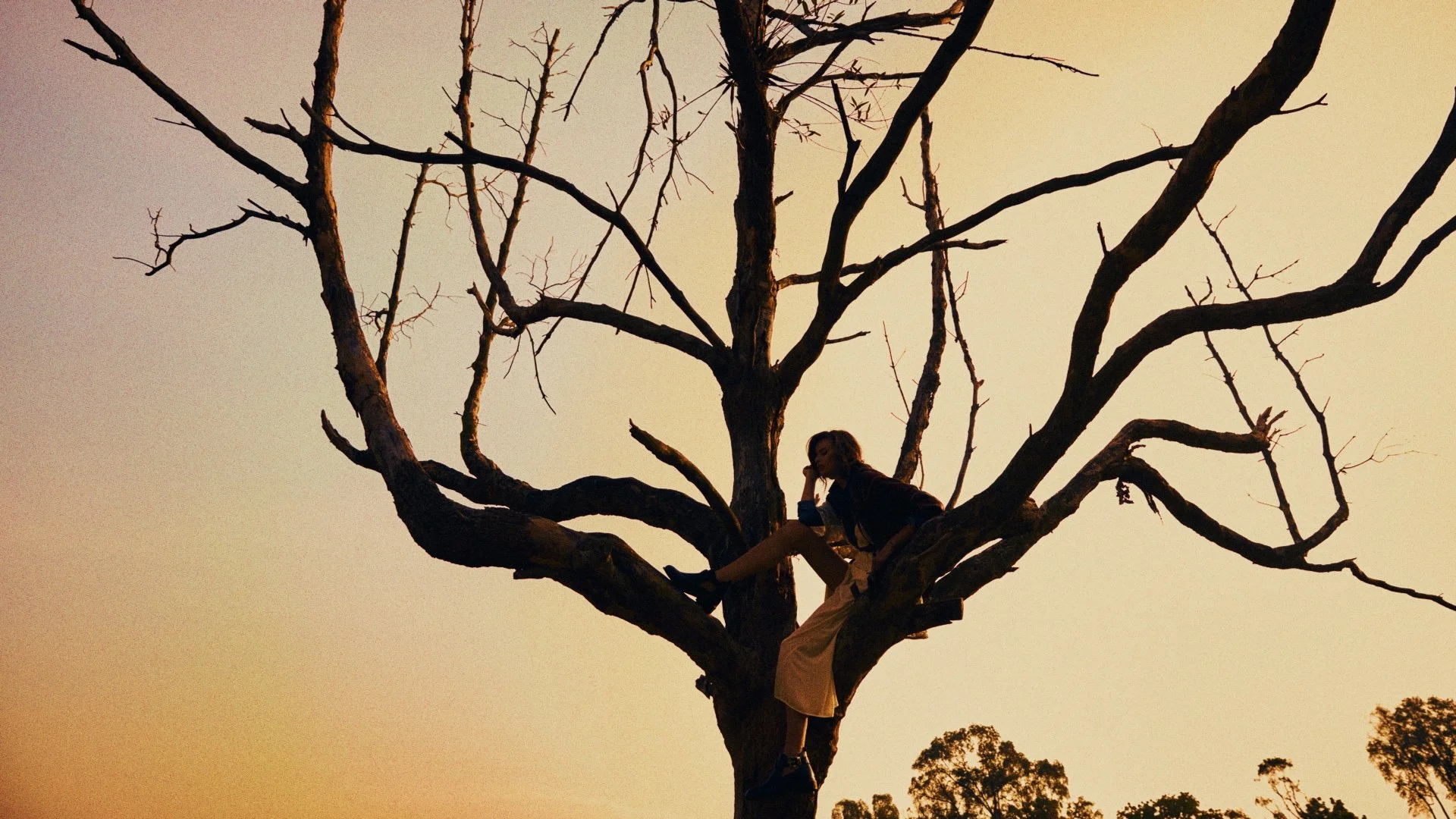 Still 2026-01-06 141456_1.8.1.jpg