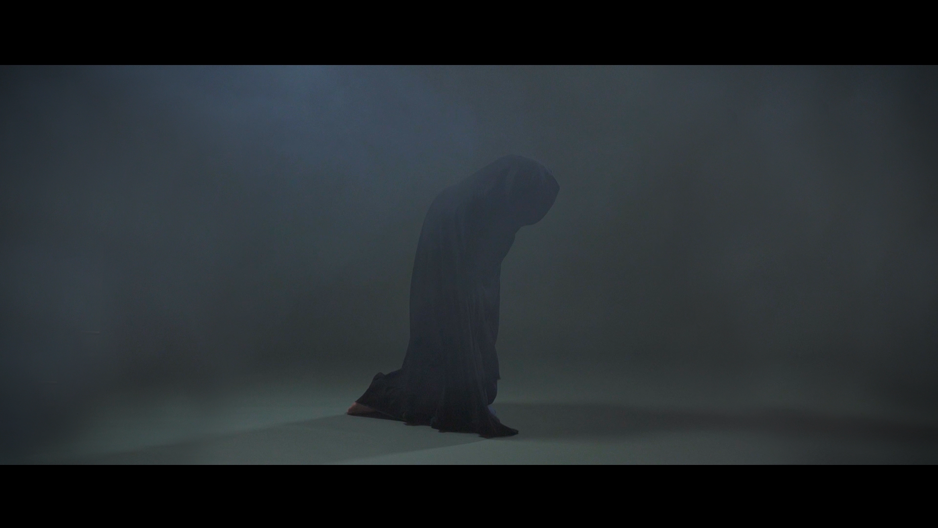 wideshroud0.png