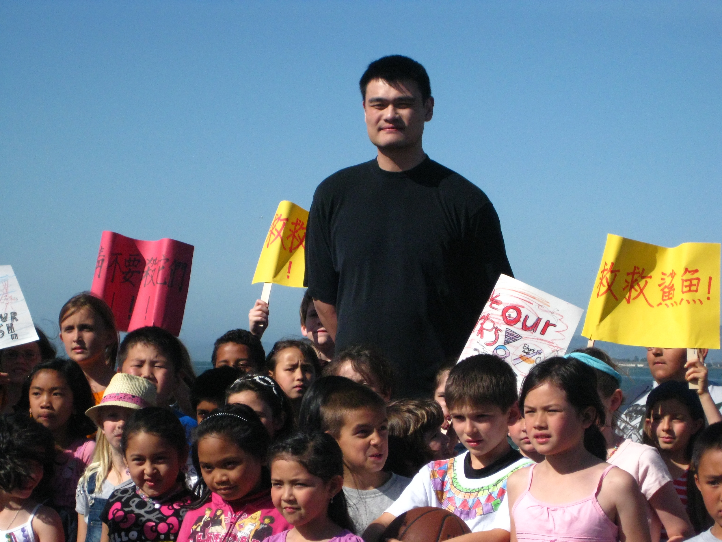 Anti-shark fin soup campaign with Yao Ming