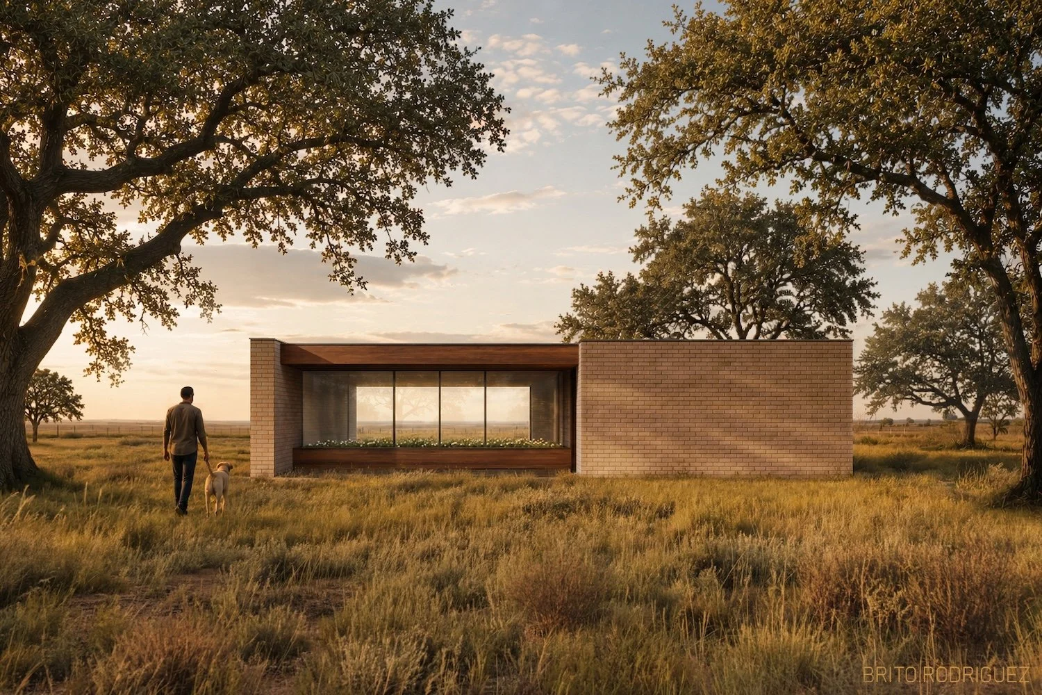Casa P02_web.jpg