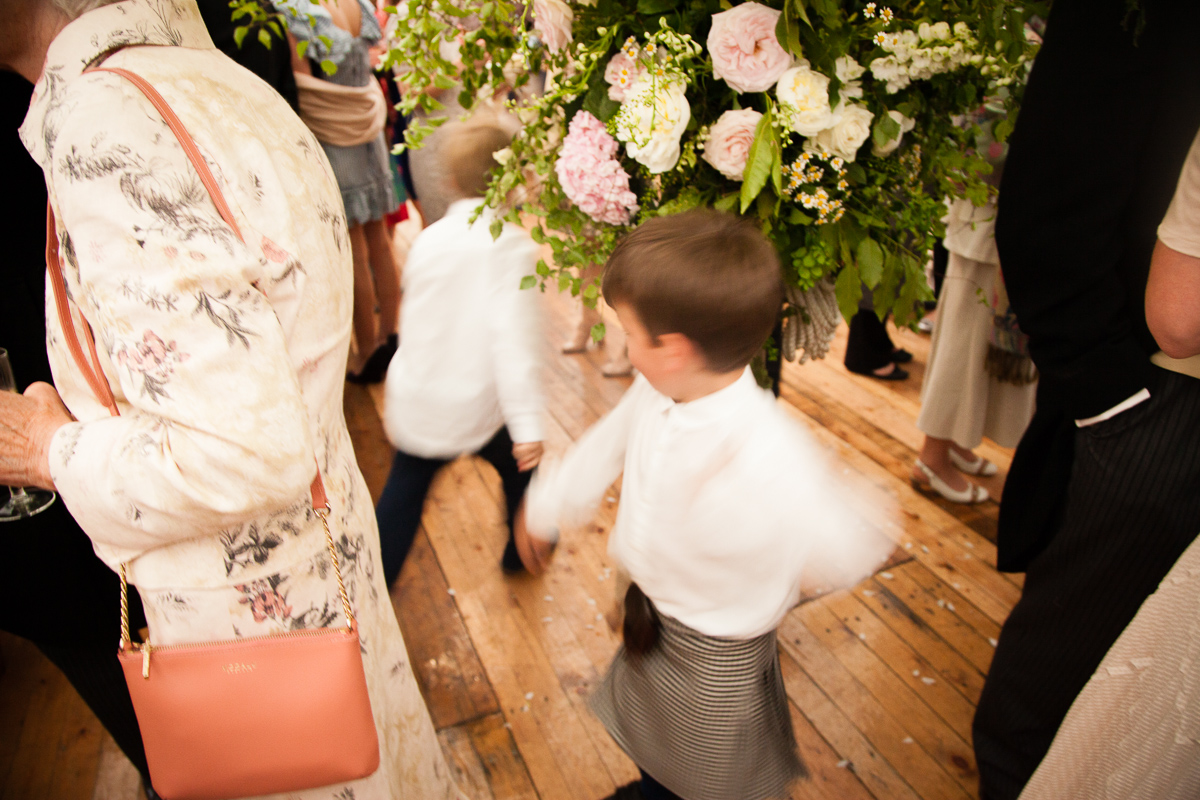 At speed amidst a maze of flowers and legs