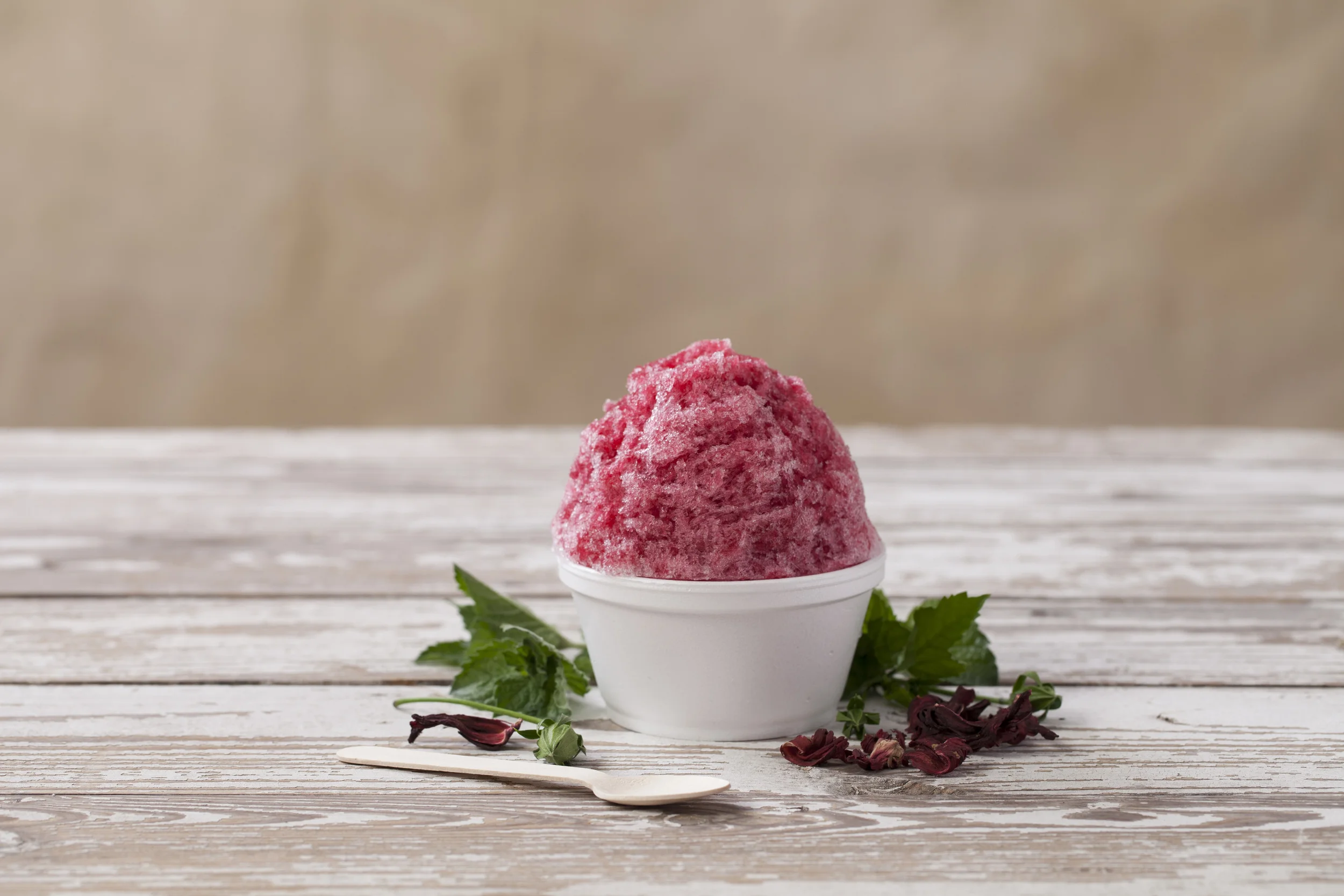 Gourmet_Ice_co-5.jpg