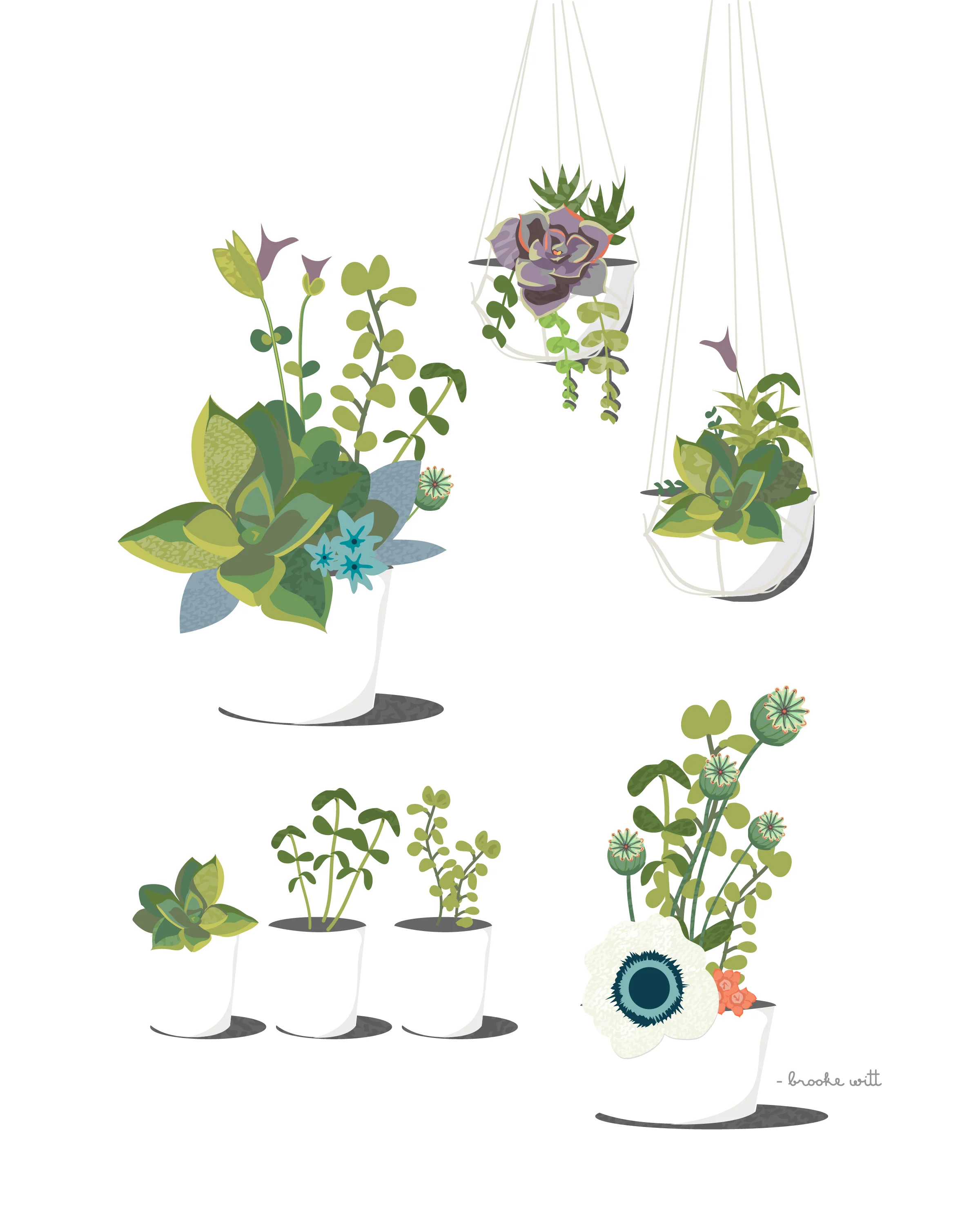 succulents.jpg