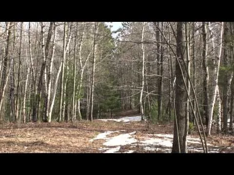 My Father's Best Hunts