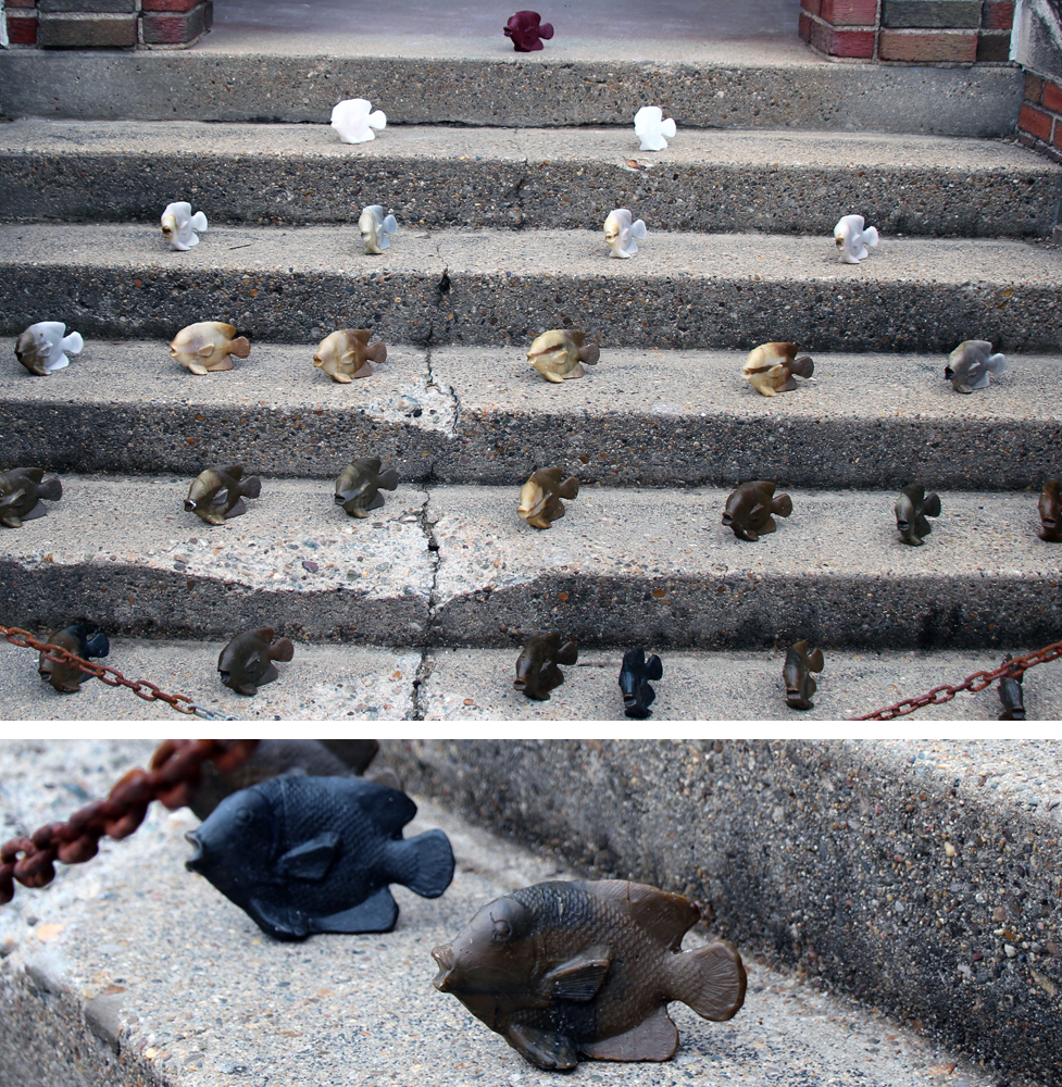Title: Untitled Course: Elements of Sculpture Project: Multiples… Multiplying! Student: Gwen Gardner Media: Cast Wax Dimensions: N/A Date: Spring 2017 Brief Description: Gardner cast thirty wax fish and installed them at the former art building behind a rusted chain. In this piece, she wanted to discuss constraint and environment as the fish looked upon the Iowa River, one of the most polluted rivers in the United States.