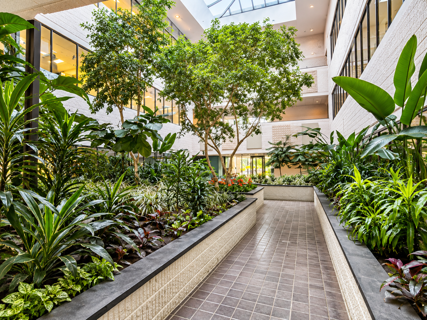 Atrium.png
