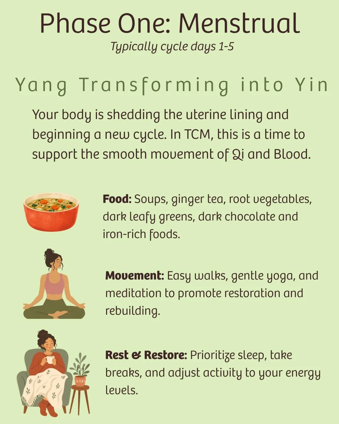 TCM menstrual phase guide explaining Yang transforming into Yin, with recommendations for nourishing foods, gentle movement, and restorative rest.