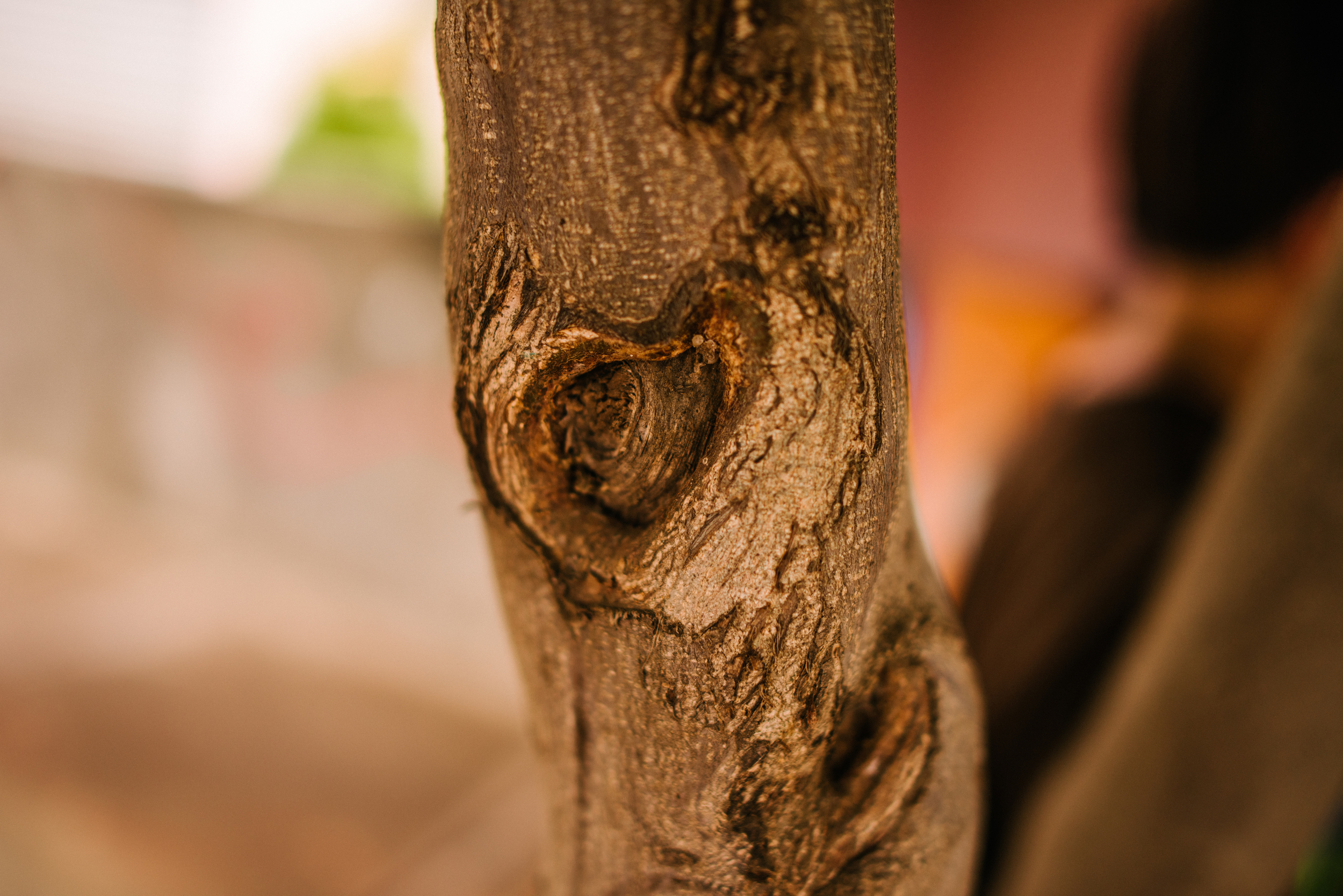 Simplicity Around Us Photo Credit: Mana Gollo