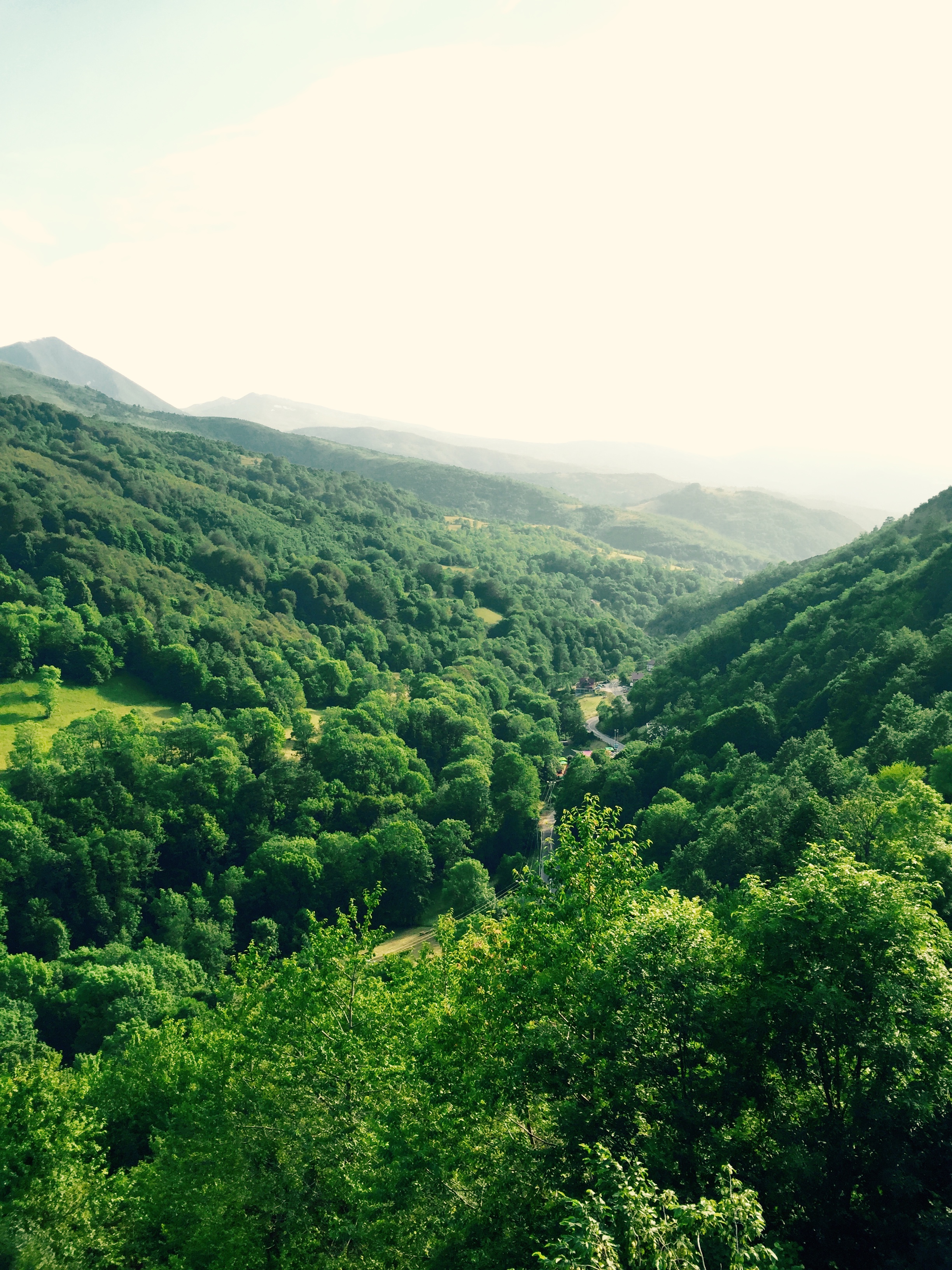 Deep in the forests of Kosovo