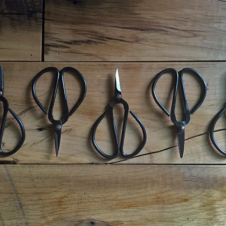 bonsai_scissors_lineup.jpg
