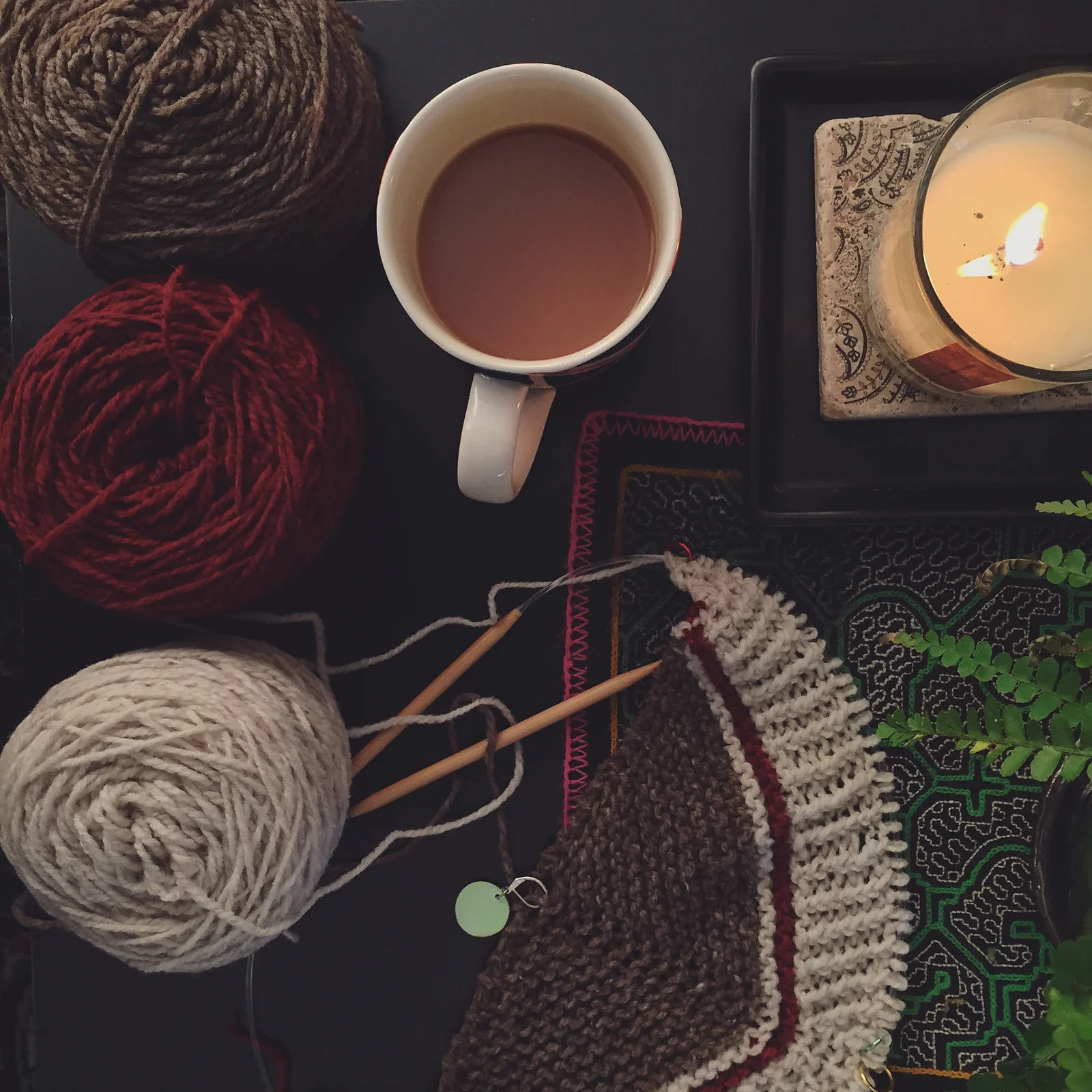 BRADWAY IN THE WILD! 