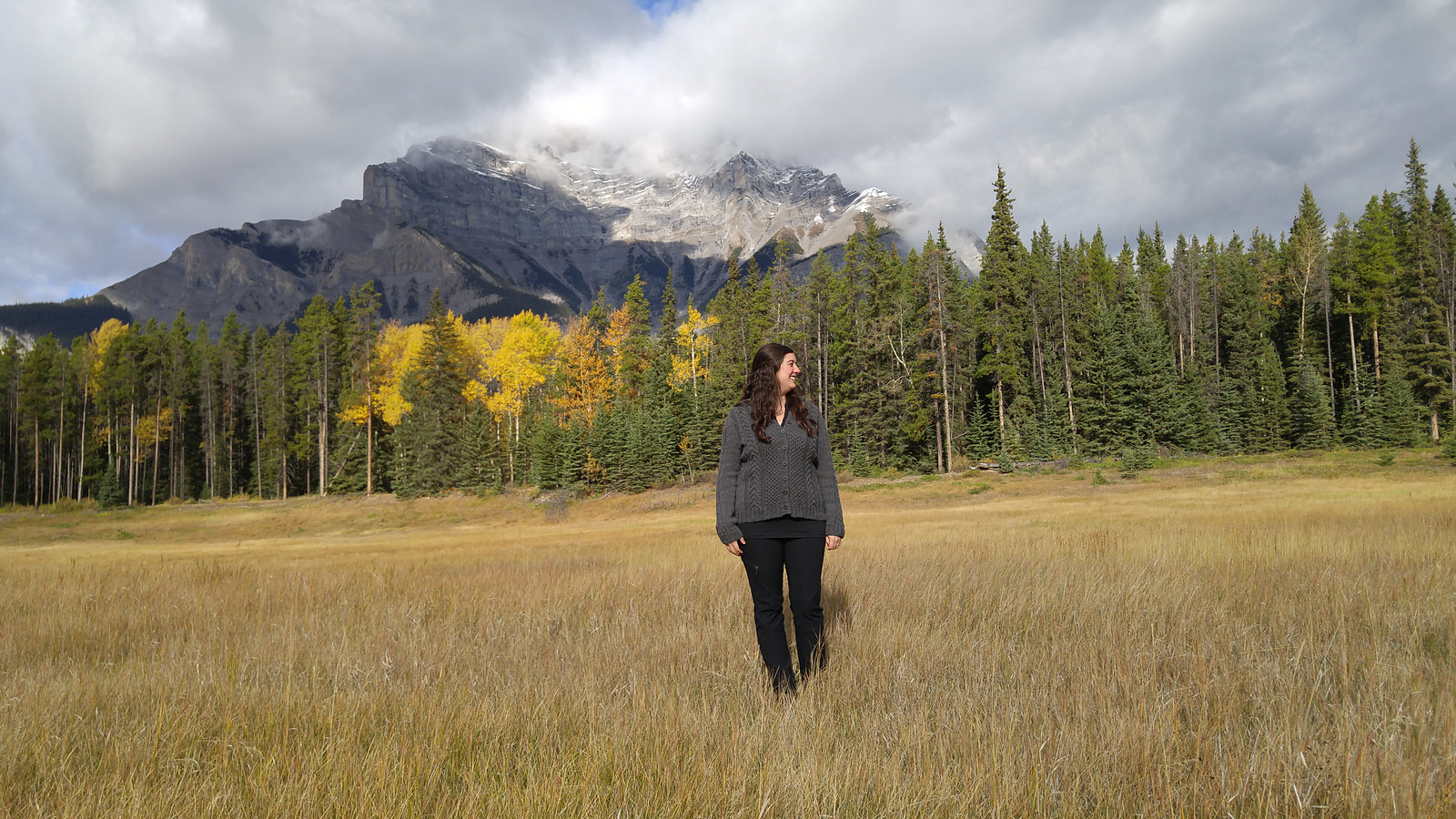 Silversmith Hoodie knit by kaitlandros