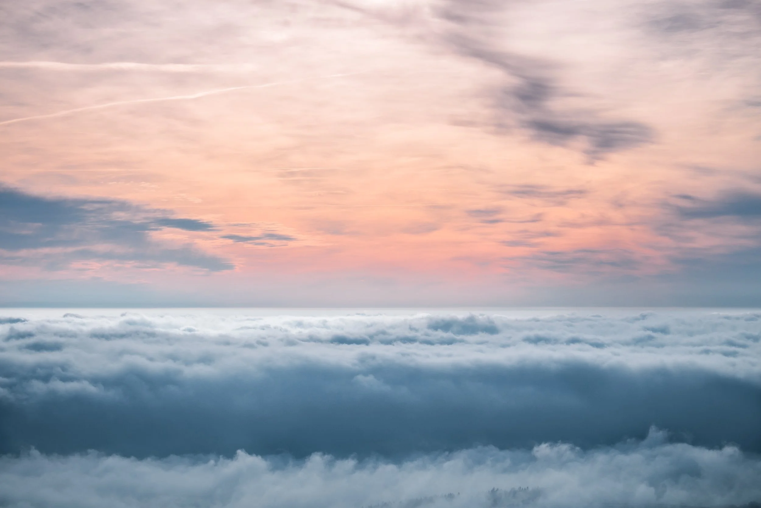 Photo by Jakub Kriz on Unsplash