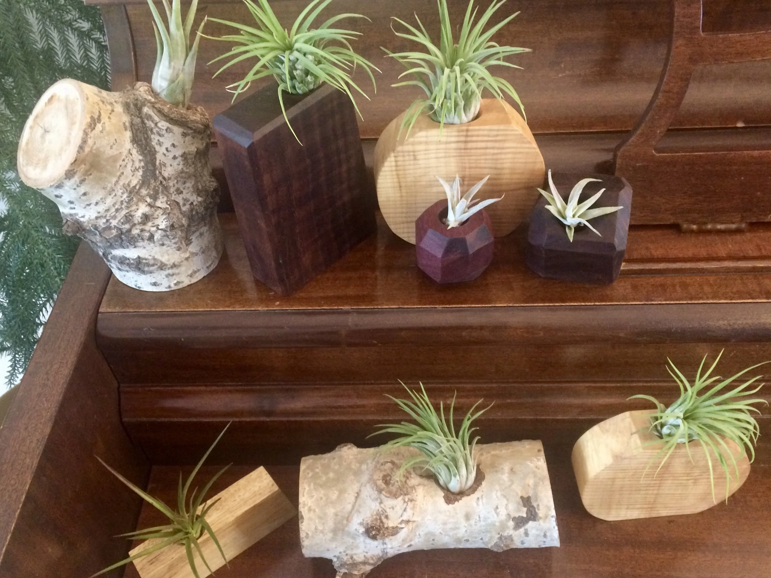 various succulent holders