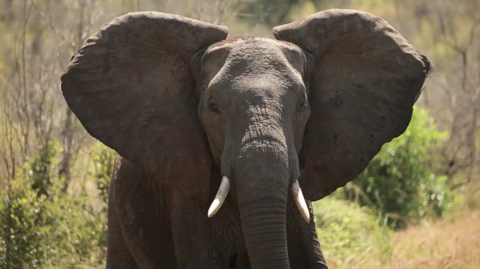 Screen Shot 2015-08-26 at 3.04.29 PM.png