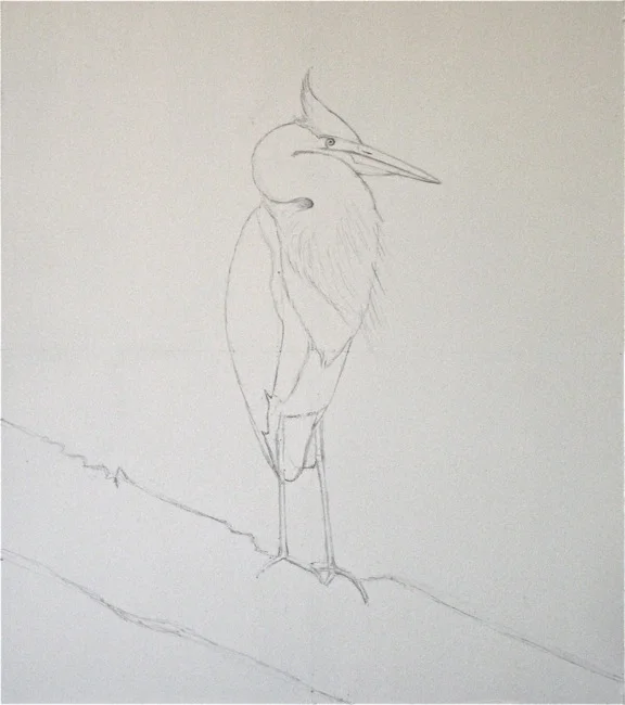 The Duke of Queens Lake , drawing, by William R. Beebe