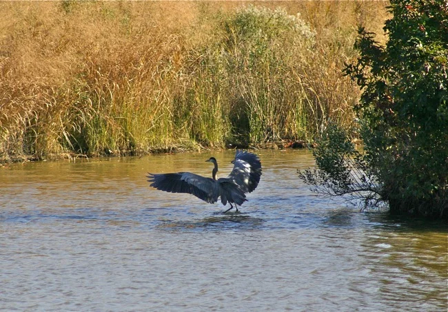 WATER LANDING!