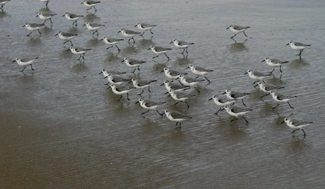 Storming the beach!