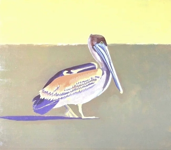 Brown Pelican painting (base coat) by William R. Beebe