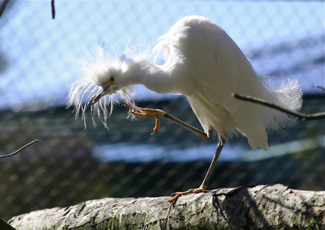A bad itch on a bad hair day!!!