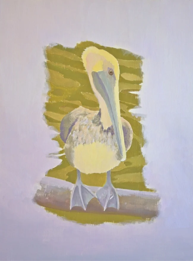 Pelican on a log, WORK IN PROGRESS, by William R. Beebe
