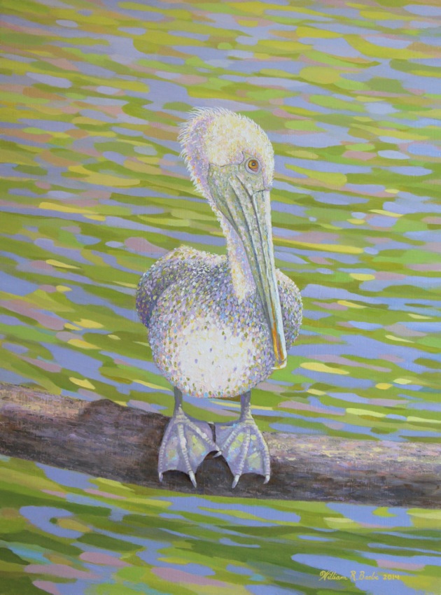 Pelican Perfectly Perched