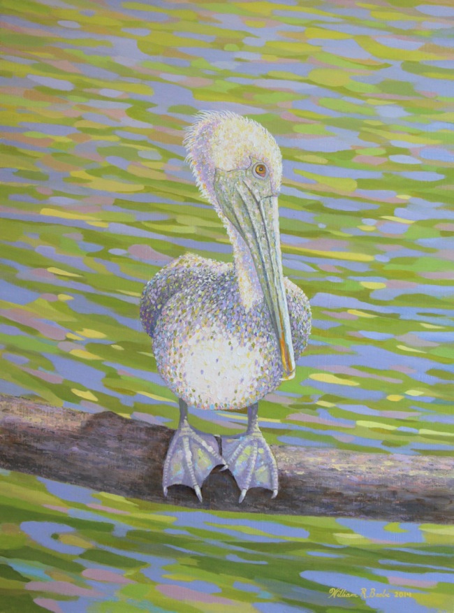 Pelican Perfectly Perched by William R. Beebe, 16 x 12, oil on board, SOLD