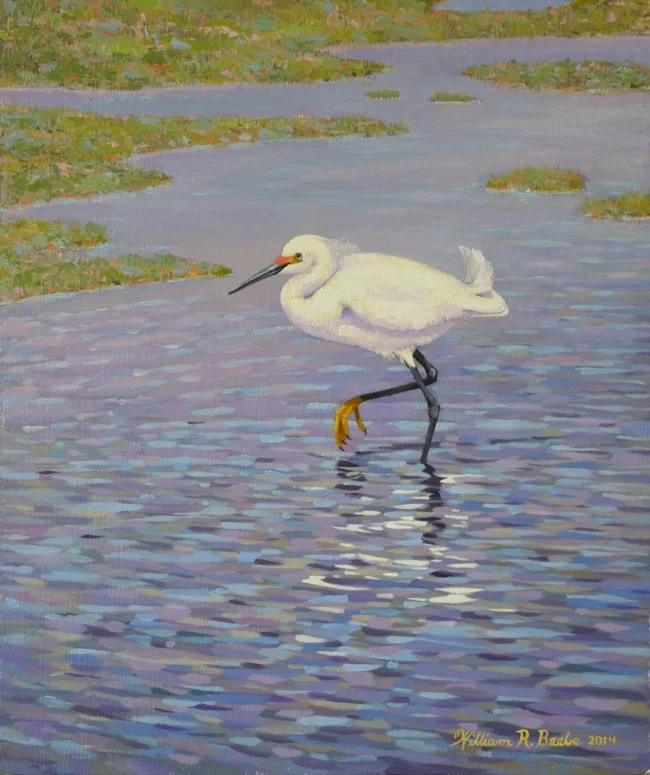 Snowy Egret Slow Walking by William R. Beebe, 10 x 12, oil on board, $950