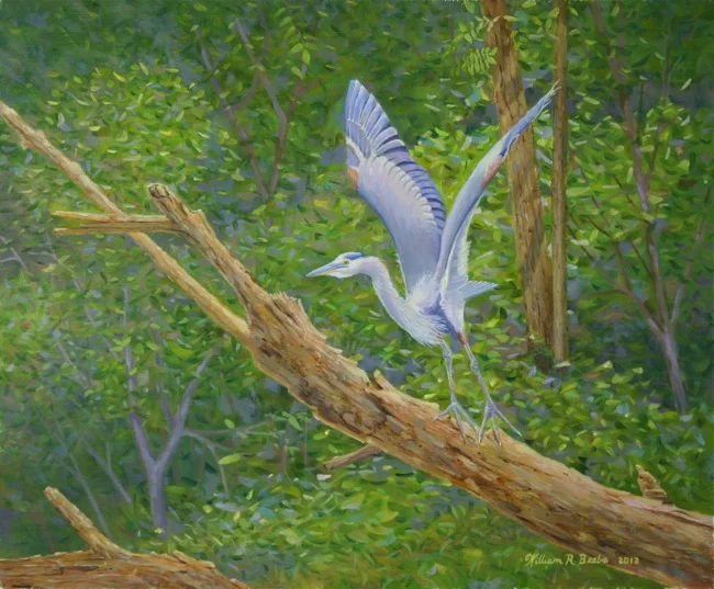 Taking Flight , by William R. Beebe, 10 x 12, oil on board, $950