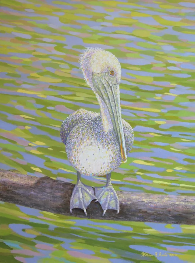Pelican Perfectly Perched , by William R. Beebe, 16 x 12, oil on board, $2400