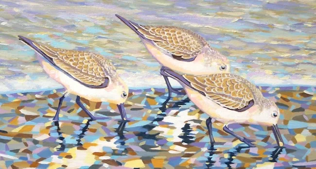 Working All the Angles (detail shot) by William R. Beebe