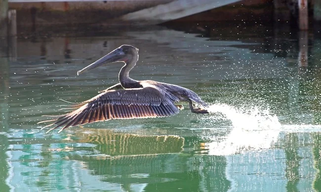 Moving on down the canal