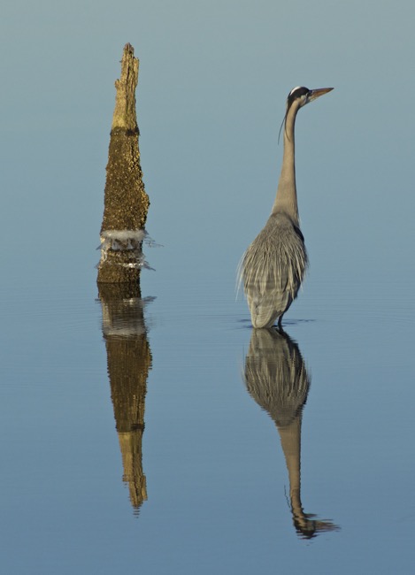 Parallel Reflections photo by William R. Beebe