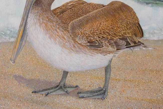 Taking a Stance by William R. Beebe (detail shot)