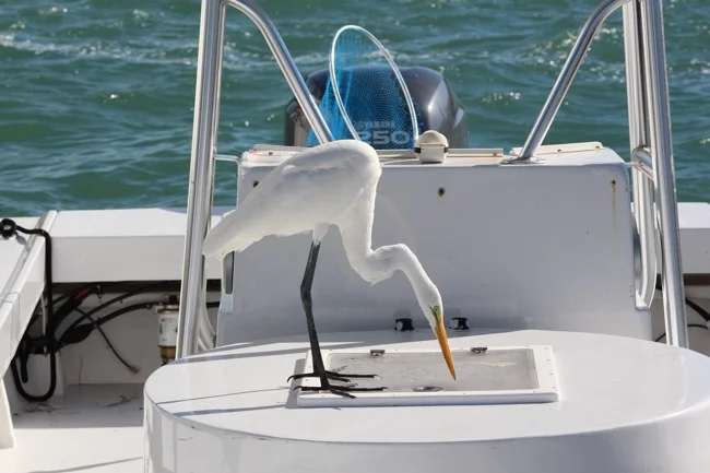 "Something smells fishy in there!"
