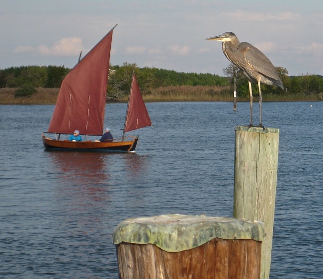 Boat Watching!