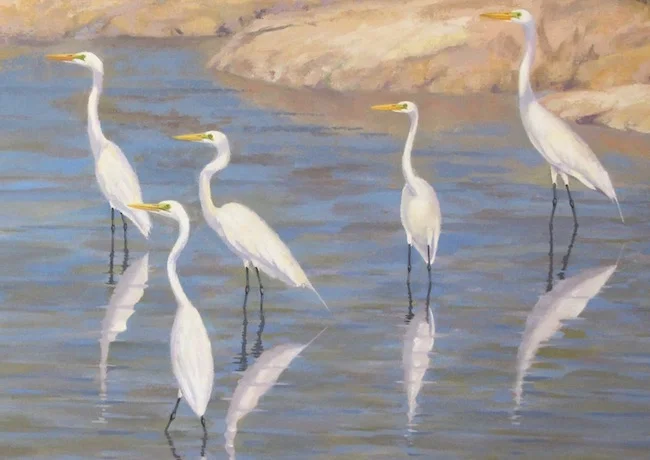 The Egrets and Mallows of Blackwater , detail shot, by William R. Beebe