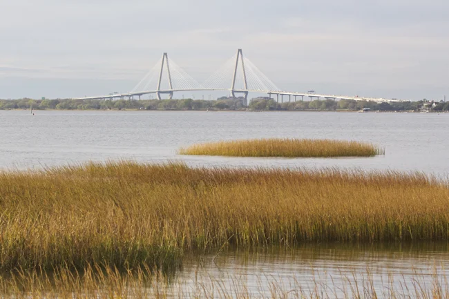 Distant view of the Arthur Ravenel Bridge!