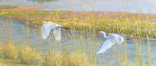 Tall Grasses on the Salt Marsh by William R. Beebe, detail shot Great White Egrets
