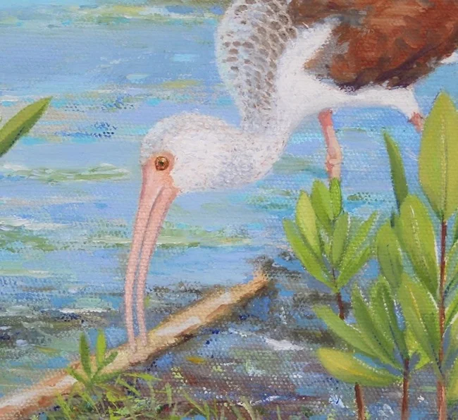 In the Shallows by William R. Beebe, detail shot