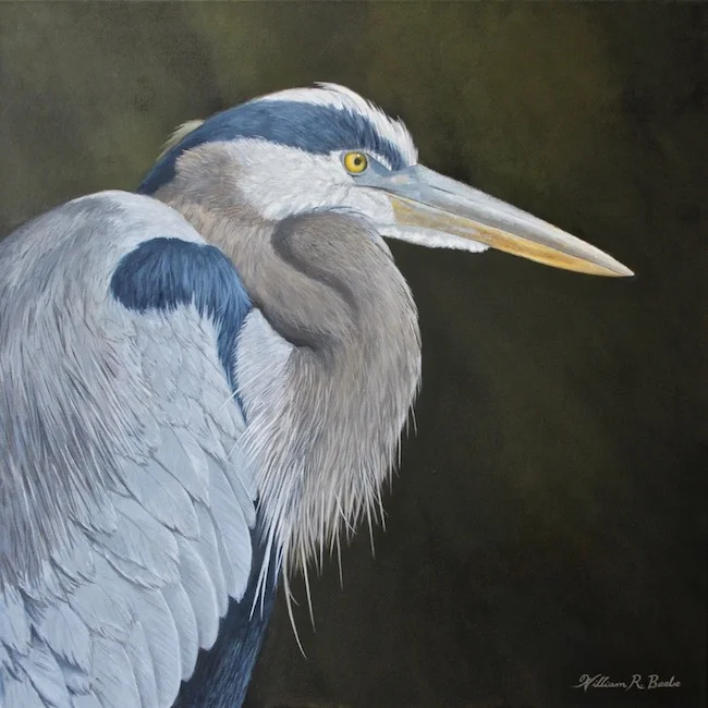 The Great One by William R. Beebe, 24 x 24, Oil on canvas, $5100